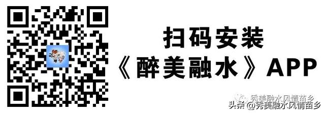 【乡村振兴】亩产值达6500多元 培地村的撂荒地建起红薯示范样板