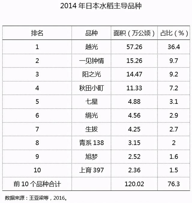 探秘亚洲水稻家族一员：日本水稻的概况