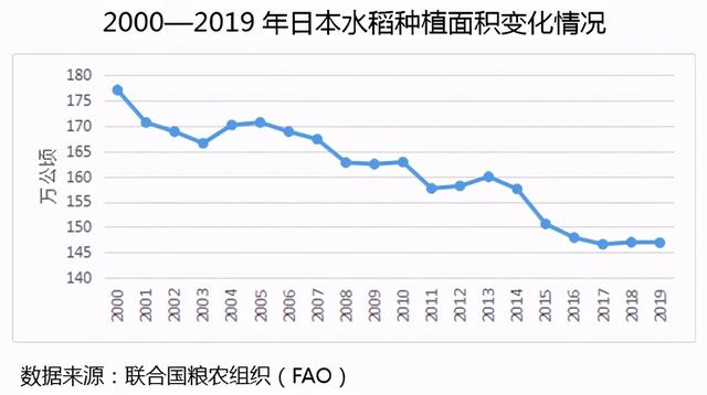 探秘亚洲水稻家族一员：日本水稻的概况