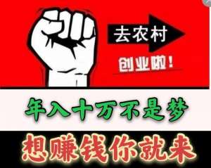 小龙虾养殖大全(养殖小龙虾最全面、最真实、最客观分析，想学的速来看)