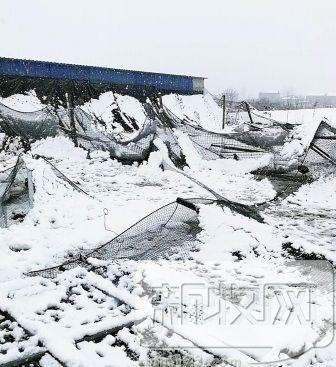 全国狂风暴雪，养鸡的你准备好了么？