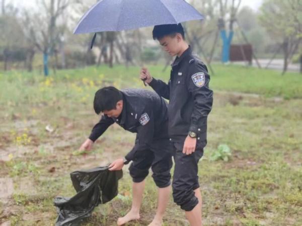 看到这种植物，报警！