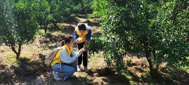 四川农业大学“米锅助农团”聚焦筑巢引凤 转型生态文明