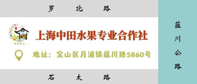 采摘、垂钓、赏景……来宝山这里，享受夏日的果香滋味~