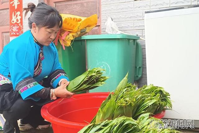 平坝打磨村：粽叶种植成为乡村振兴“致富叶”