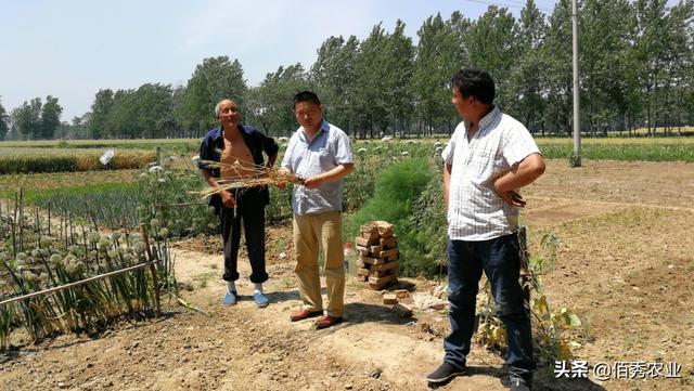 安徽农民种植中药材，发展5年终见成效，用农家特产回馈专家