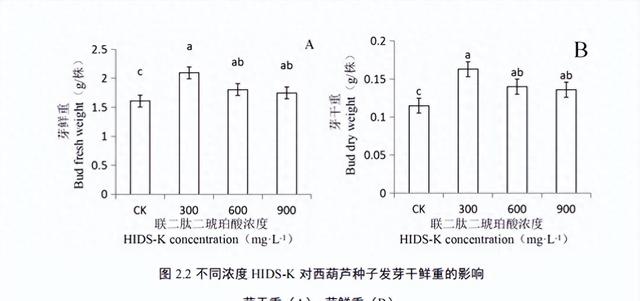 遇上连日阴雨天气西葫芦发育很差？不妨试试加入联二肽二琥珀酸