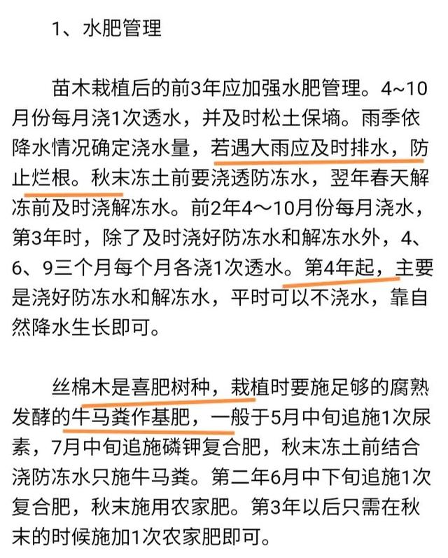 孙国友林场种植丝棉木的原因找到了，既能良性种植又产生经济价值