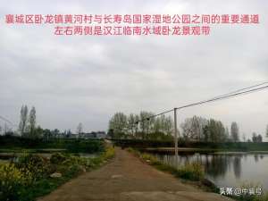 谷城养殖孔雀基地图片(【笑说大美襄阳】汉江群岛那些事儿涉及游玩好去处、船舶码头…)