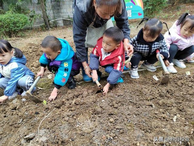 快乐种植，收获幸福｜独山县影山幼儿园开展种植活动