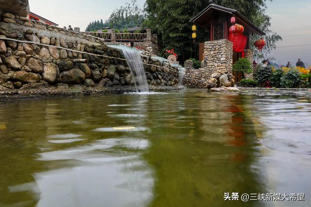 宜昌将建瘦身肥鱼高标准智慧生态养殖基地