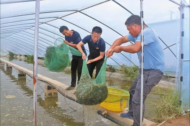 养虾池脏水堆满泡沫，还用药水泡虾？究竟是谁在抹黑中国养殖虾？