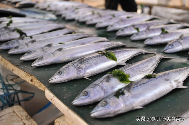 春天，内行人专挑这4种野生鱼，现在无法人工养殖，便宜又好吃