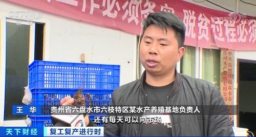 您的“麻小”正在配送！贵州六盘水：小龙虾开捕，抢“鲜”上市