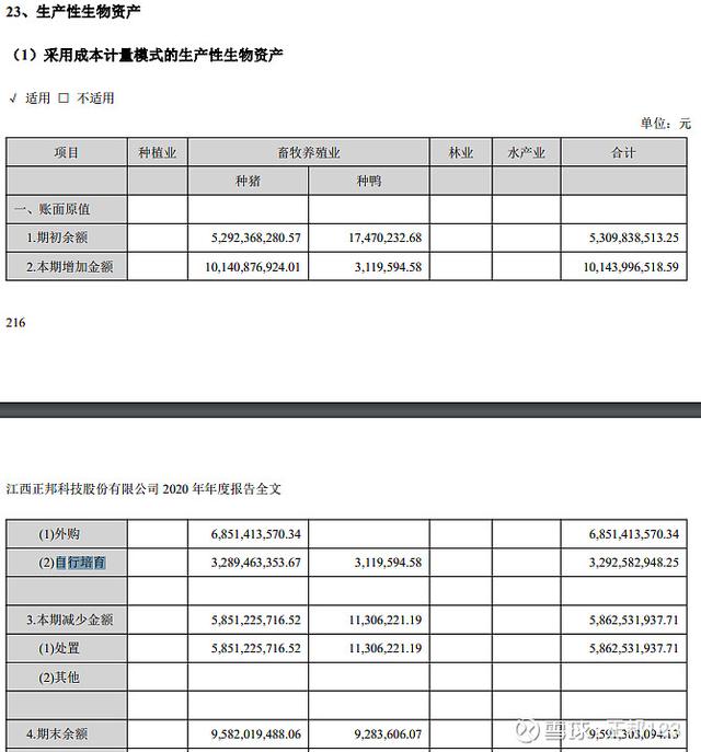 财报怎么看——4大上市猪企的报表基础分析