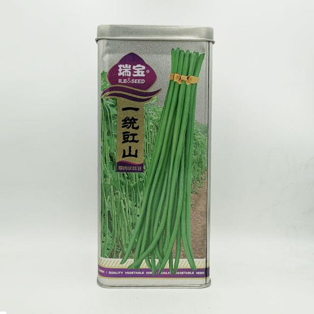 荚长75厘米！最长可达1米以上的中早熟豇豆好品种，赶紧试试