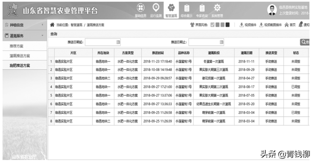 山东桃树智慧种植综合效益分析