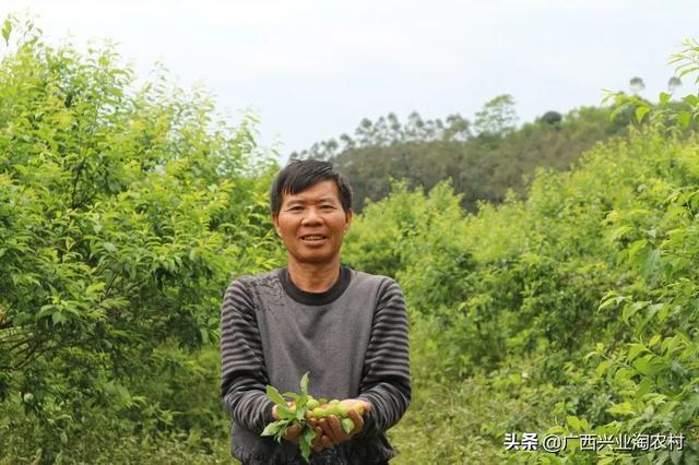 玉林市美食上线