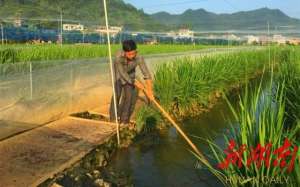 湖南火鸡养殖基地(新宁安山：找准产业“金钥匙” 打开脱贫“致富门”)