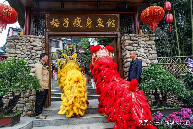 宜昌将建瘦身肥鱼高标准智慧生态养殖基地