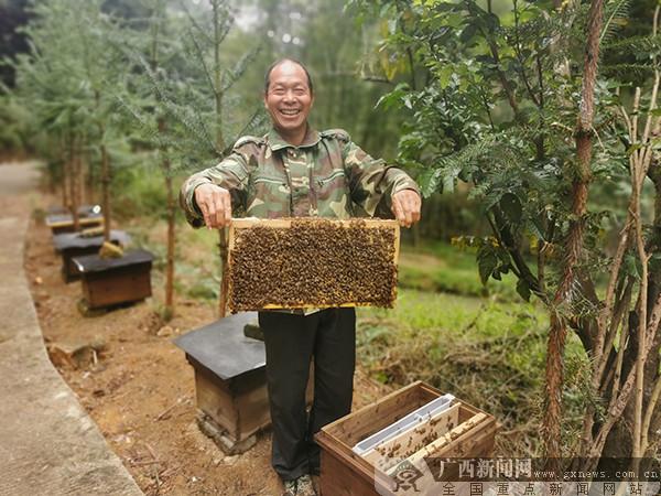 灵山县：特色产业“解锁”贫困户新生活