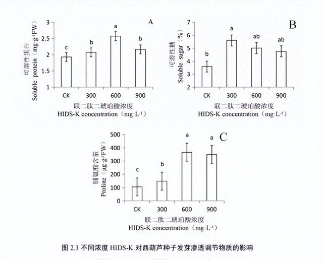 遇上连日阴雨天气西葫芦发育很差？不妨试试加入联二肽二琥珀酸