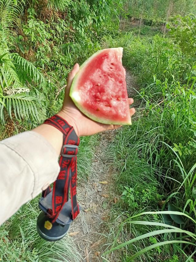 时隔一个月，再战老钓位，鱼获还不错