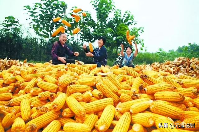 让人大呼过瘾！农民能领到这么多巨款补贴，你绝对想不到！