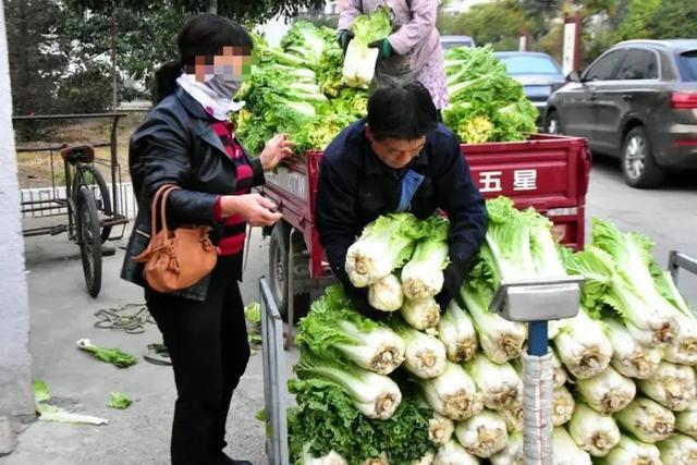 这些咸菜中的“顶流”，你都吃过吗？