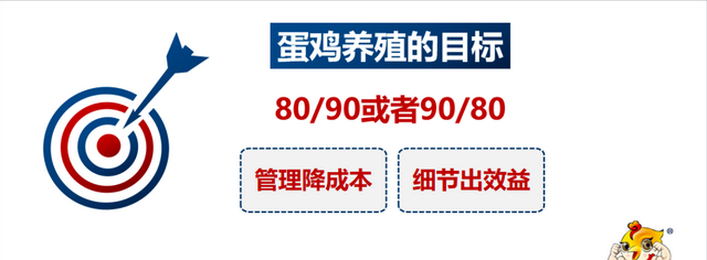 何为蛋鸡精细化管理方案？关键指标有什么？