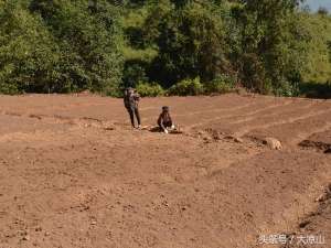 雅安重楼种植(宁南：名贵中药材重楼有“钱景”)