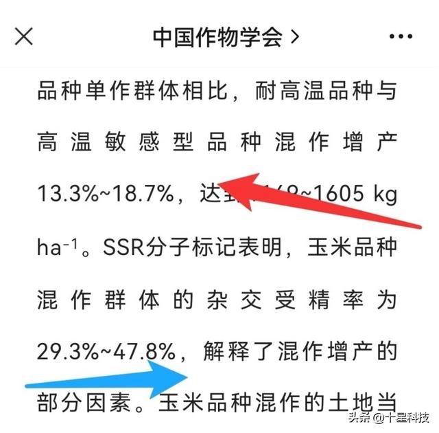 啥叫好的夏玉米？4000株密度，只用半袋尿素，可以随便对比