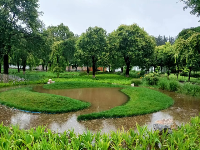 河流倒灌、持续泡水、内涝严重 北京苗圃遭遇“史上最强”暴雨