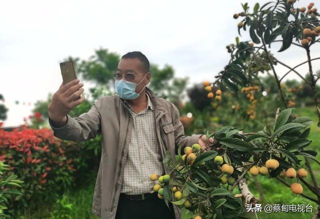 山东父子在武汉蔡甸种下的苗木“开花结果”了