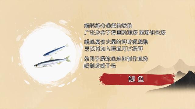 牛排怎么做更鲜嫩多汁？意大利米其林星级大厨送上“小窍门”→