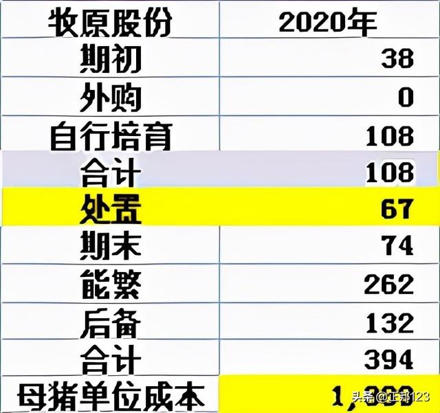 财报怎么看——4大上市猪企的报表基础分析