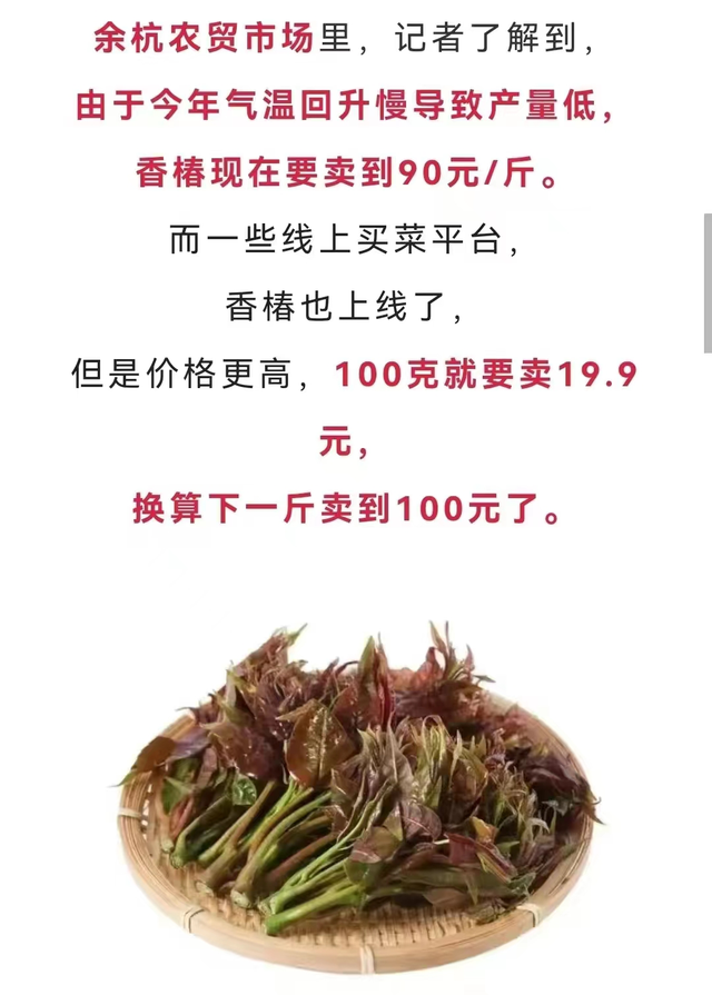 山东85后女孩剑走偏锋，种菜年入500万，种的啥？这么有“钱景”