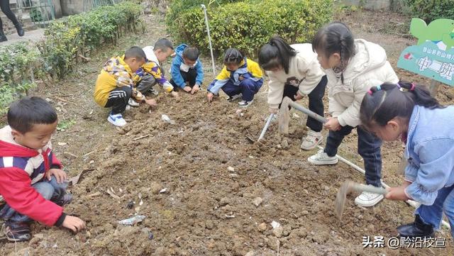 快乐种植，收获幸福｜独山县影山幼儿园开展种植活动