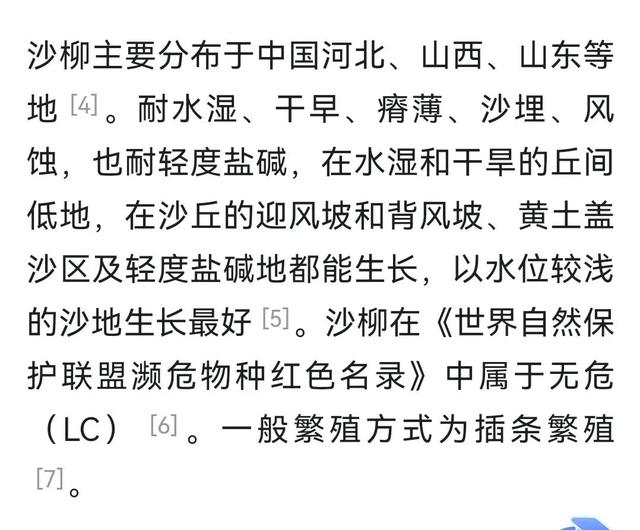 孙国友林场种植丝棉木的原因找到了，既能良性种植又产生经济价值