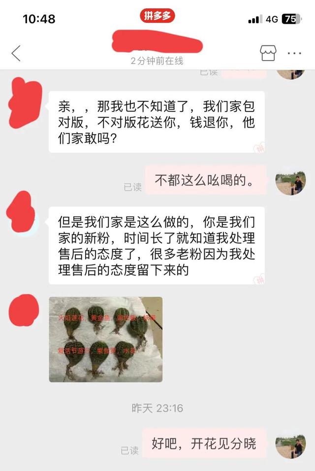 买球不踩坑—仙人球直播踩坑记