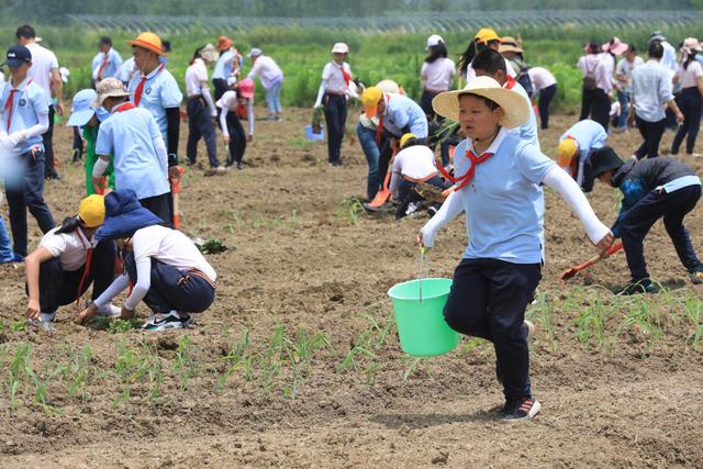 千名学生集体耕种！金陵河西“五一学堂”开课，以劳动教育引导学生回归生活