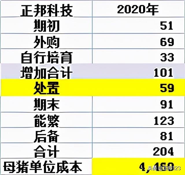 财报怎么看——4大上市猪企的报表基础分析