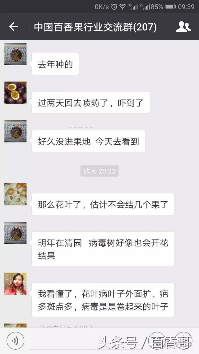 百香果叶片发现疑是病毒，如何处理？