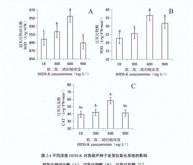 遇上连日阴雨天气西葫芦发育很差？不妨试试加入联二肽二琥珀酸