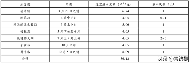 山东桃树智慧种植综合效益分析