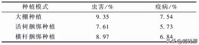 铁皮石斛仿野生林下种植新模式的优势