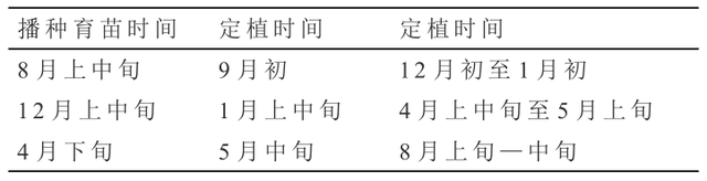 贝贝’南瓜日光温室周年栽培技术