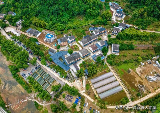 宜昌将建瘦身肥鱼高标准智慧生态养殖基地