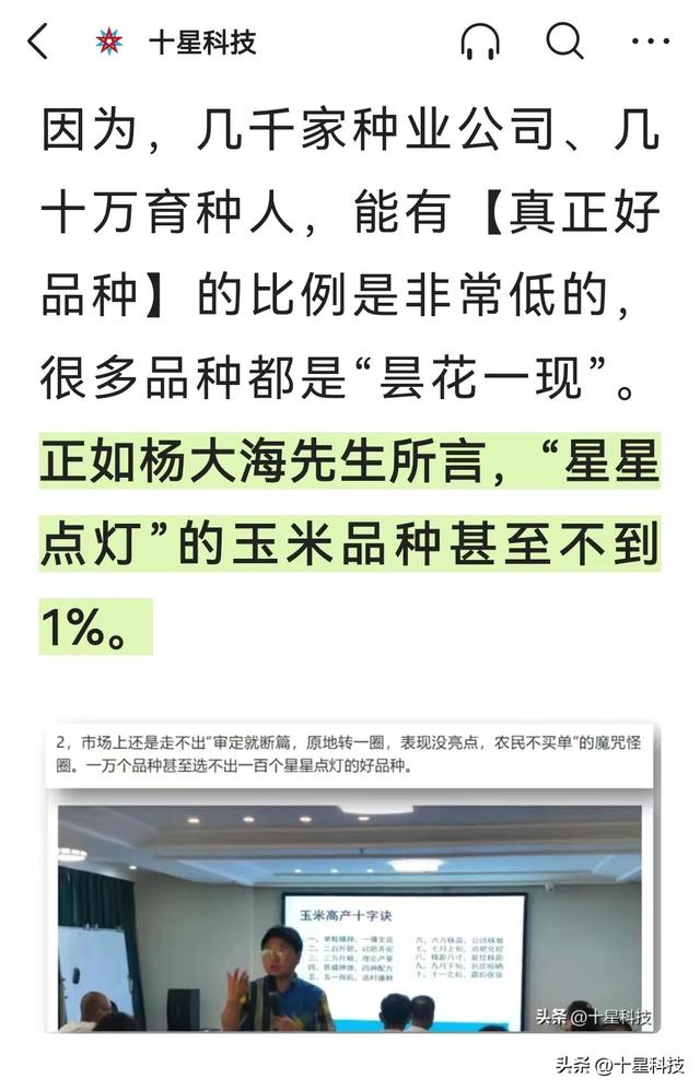 啥叫好的夏玉米？4000株密度，只用半袋尿素，可以随便对比