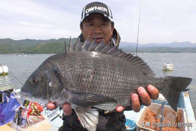 冬季什么时候最适合海钓？冬季海钓需要注意的三种气象